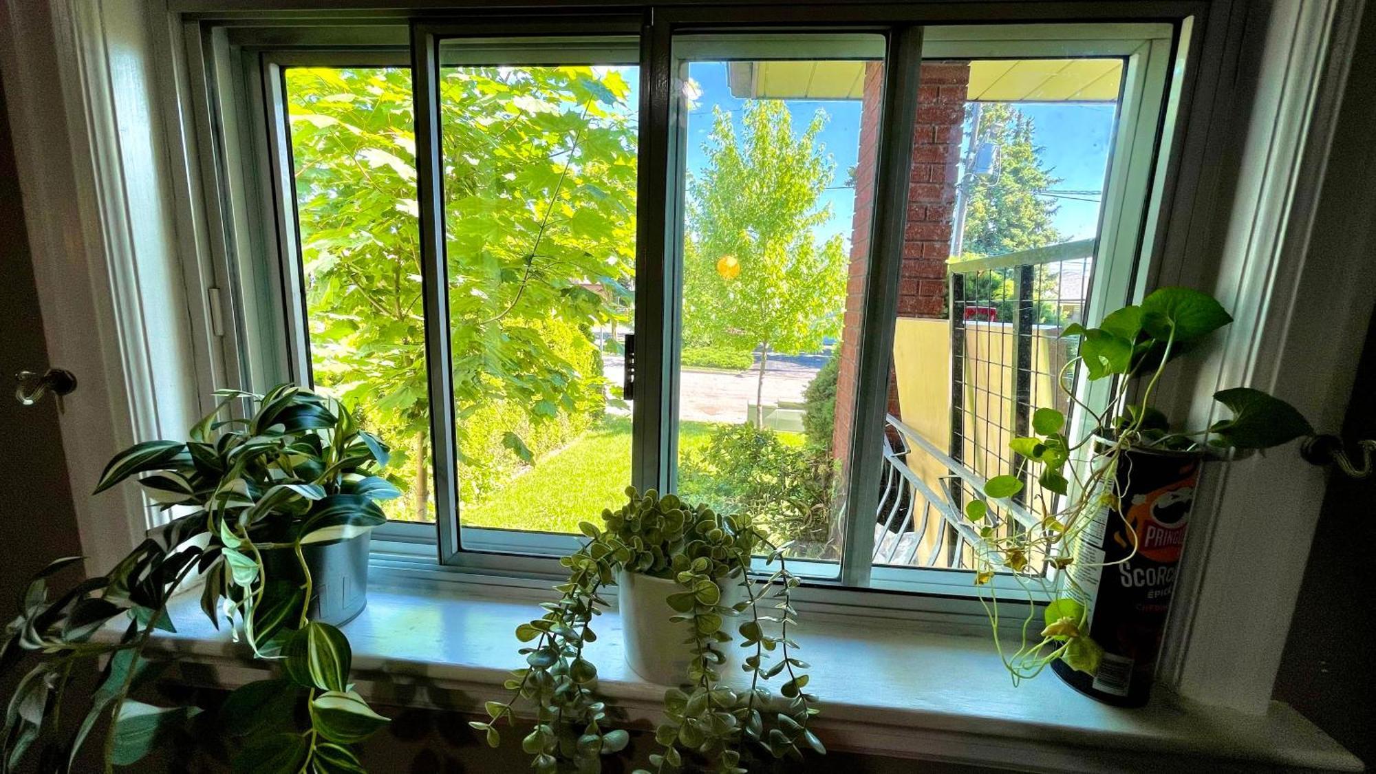 Glengrove Cozy Home Toronto Eksteriør bilde