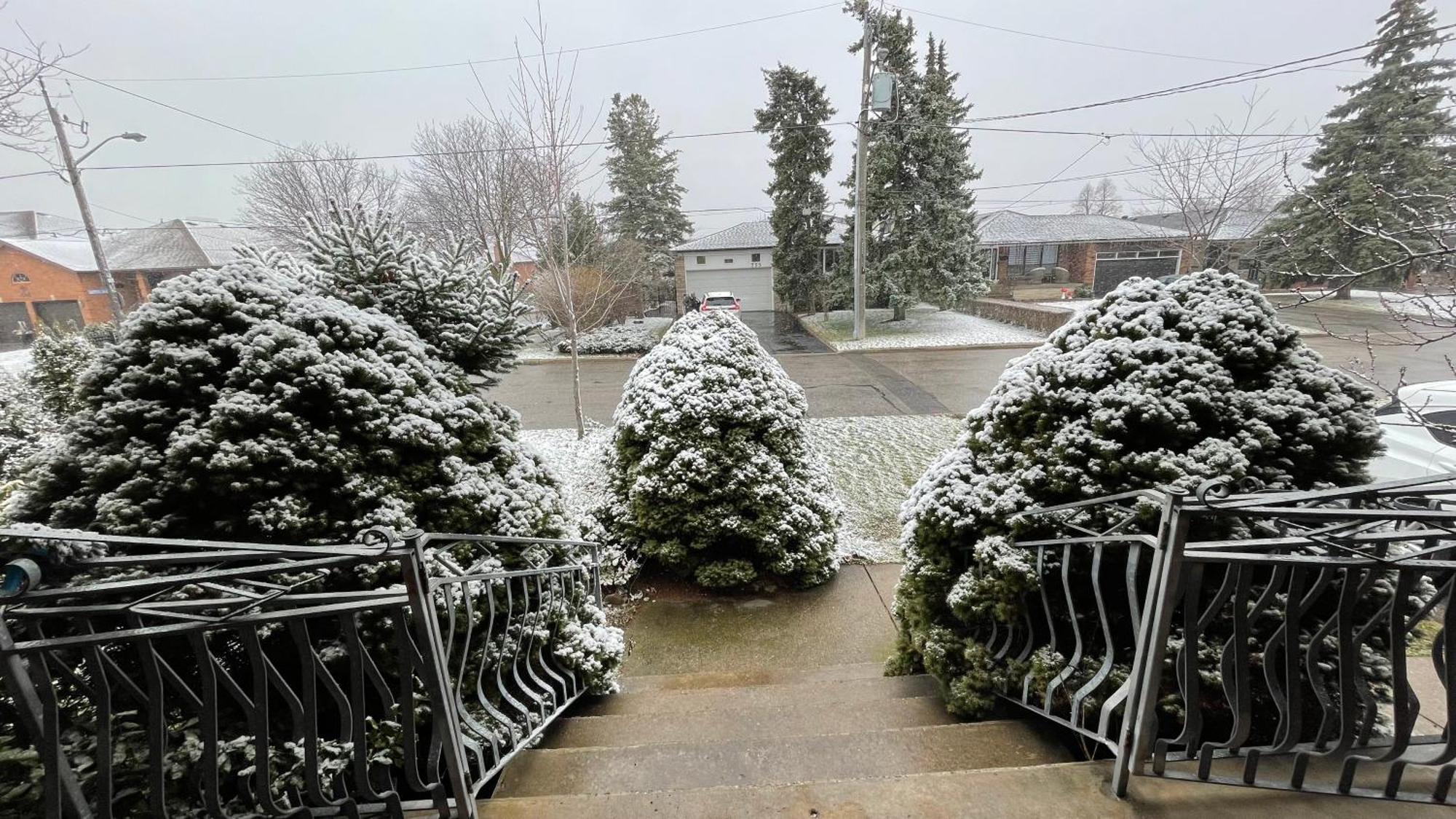 Glengrove Cozy Home Toronto Eksteriør bilde